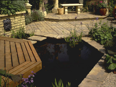 Architectural Pond Other Architectural Pond Other