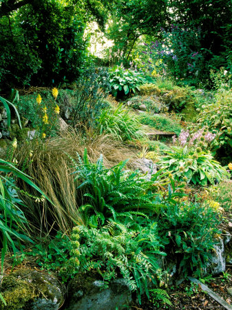 Garden Situated on a Hillside Overlooking Loch Ness, Scotland Stretched Canvas Print