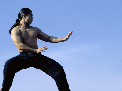 Martial Arts Posture Photographic Print Martial Arts Posture Photographic Print