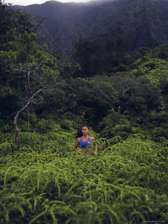 Maunawili Trail Hawaii, USA Photographic Print Maunawili Trail Hawaii, USA Photographic Print