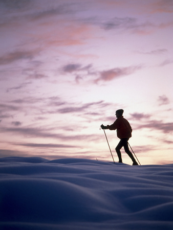 Cross Country Skiing at Twilight Photographic Print Cross Country Skiing at Twilight Photographic Print