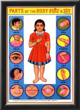 Parts of the Body - Girl Framed Print Parts of the Body - Girl Framed Print