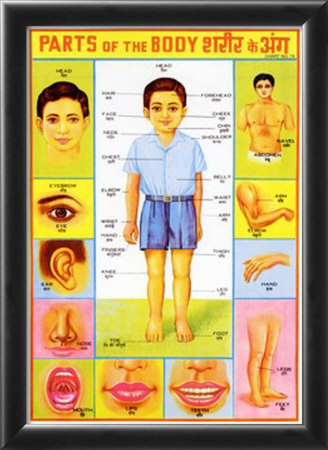 Parts of the Body - Boy Framed Print Parts of the Body - Boy Framed Print