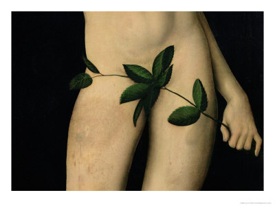 Adam, 1528 Giclee Print Adam, 1528 Giclee Print
