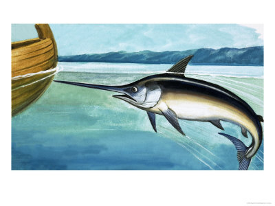 Swordfish Giclee Print Swordfish Giclee Print