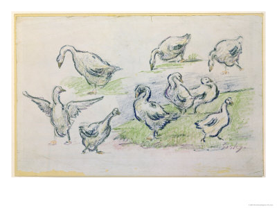 Ducks Giclee Print Ducks Giclee Print