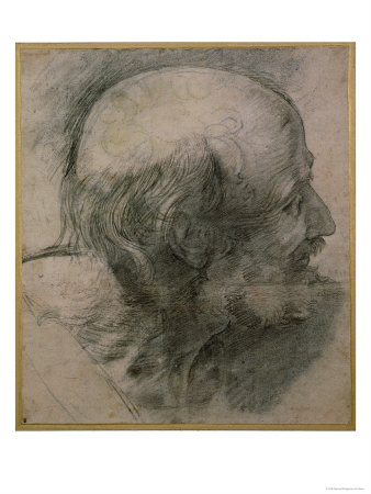 Head of St Andrew Study For The Transfiguration c1519-20