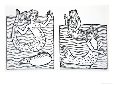 mermaids-and-mermen-the-world-guide-to-gnomes-fairies-elves-and-other-little-people-t-keightley.jpg