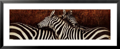 Two Zebras Framed Print Two Zebras Framed Print