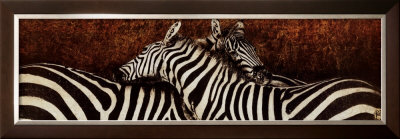 Two Zebras Framed Print Two Zebras Framed Print