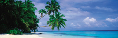 Maldives Poster Maldives Poster