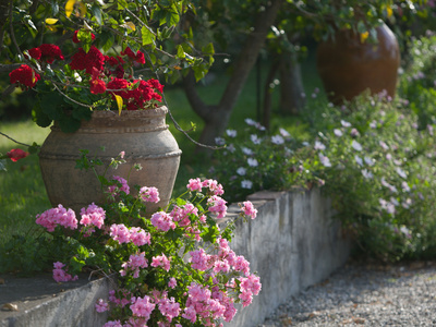 Garden Detail, San Domenico Palace Hotel, Taormina, Sicily, Italy Stretched Canvas Print