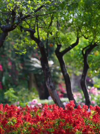 Garden Detail, San Domenico Palace Hotel, Taormina, Sicily, Italy Stretched Canvas Print