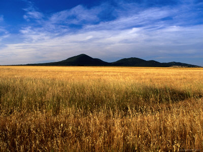 You Yangs Forest Park, You Yangs Forest Reserve, Australia ... You Yangs Forest Park, You Yangs Forest Reserve, Australia ...