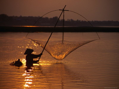 Mekong+river+fish