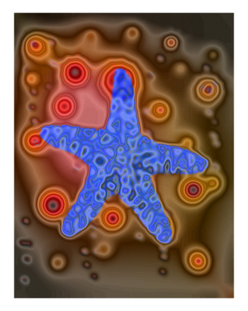 Bronzed Starfish Photographic Print Bronzed Starfish Photographic Print