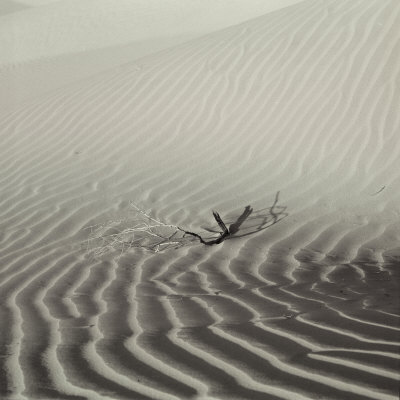 Rippling Sand Dunes of Death Valley California Other Rippling Sand Dunes of Death Valley California Other