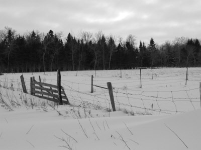 Snow Scene- Gimli, Manitoba Other Snow Scene- Gimli, Manitoba Other