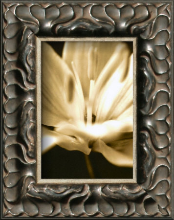 Radiance III Framed Print Radiance III Framed Print
