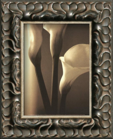 Enlightenment I Framed Print Enlightenment I Framed Print