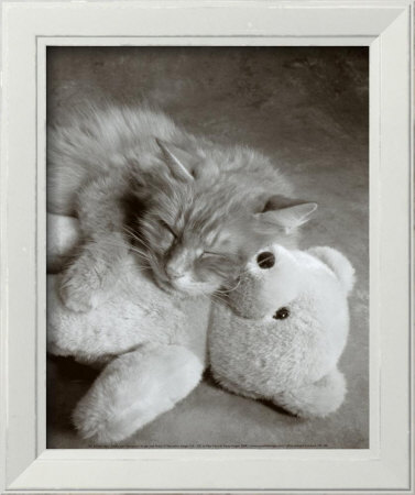 Nap with Teddy Framed Print Nap with Teddy Framed Print