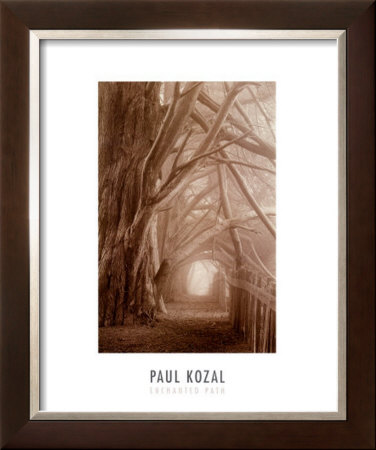 Enchanted Path Framed Print Enchanted Path Framed Print