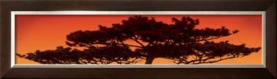 Growth Framed Print Growth Framed Print