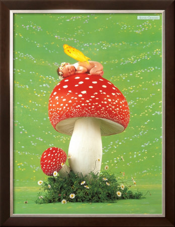 Erin as Toadstool Framed Print Erin as Toadstool Framed Print