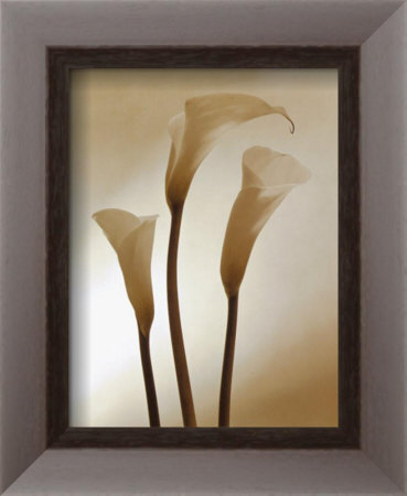 Calle Framed Print Calle Framed Print