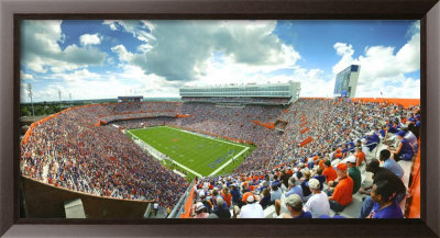 Florida Gators Framed Print Florida Gators Framed Print