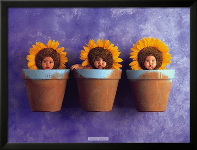 Sunflower Trio Framed Print Sunflower Trio Framed Print