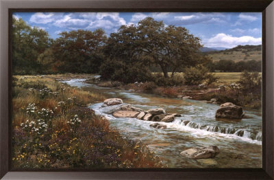 Comal Creek Framed Print Comal Creek Framed Print