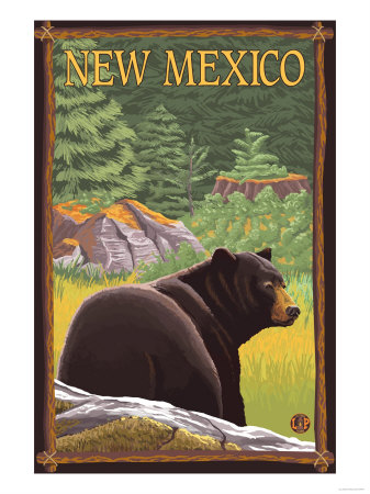 Black Bear in Forest - New Mexico Premium Poster Black Bear in Forest - New Mexico Premium Poster