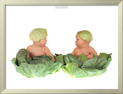 Cabbage Kids Framed Print Cabbage Kids Framed Print