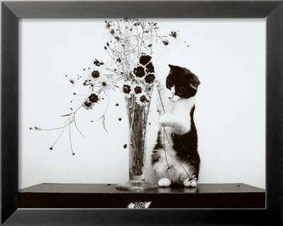 Creative Framed Print Creative Framed Print