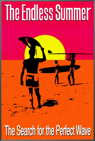 The Endless Summer Framed Canvas Print The Endless Summer Framed Canvas Print