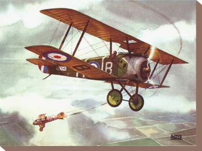 Sopwith Camel, 1917 Stretched Canvas Print Sopwith Camel, 1917 Stretched Canvas Print