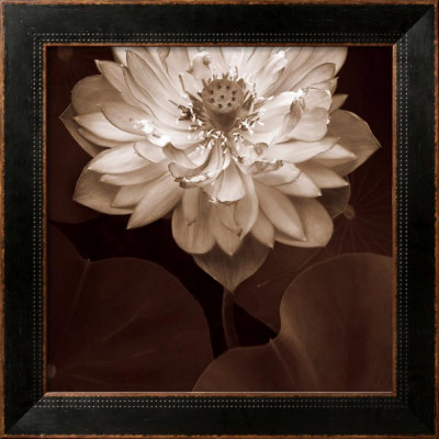 Lotus Welcome Framed Print Lotus Welcome Framed Print