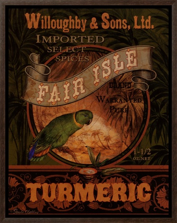 Turmeric Framed Canvas Print Turmeric Framed Canvas Print