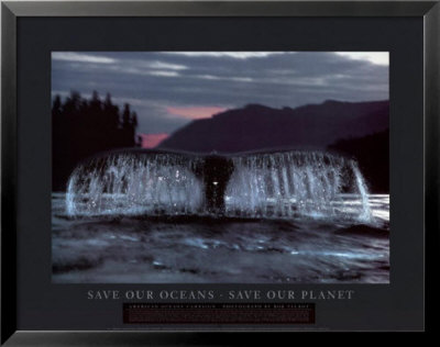 Save Our Oceans Framed Print Save Our Oceans Framed Print