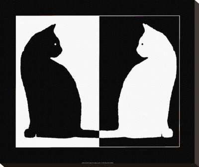 Black and White Cats Stretched Canvas Print Black and White Cats Stretched Canvas Print