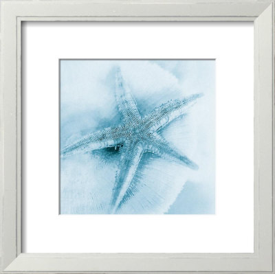 Nautica I Framed Print Nautica I Framed Print
