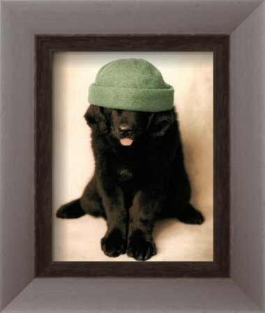 Can I Look Yet Framed Print Can I Look Yet Framed Print