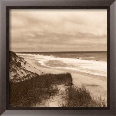 Wellfleet Dune Framed Print Wellfleet Dune Framed Print