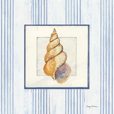 Sanibel Shell II Print Sanibel Shell II Print
