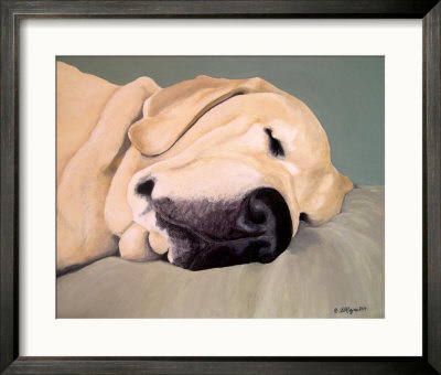 A Head Pillow Is Nice Framed Print A Head Pillow Is Nice Framed Print