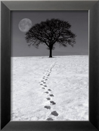 Winter Moon Framed Print Winter Moon Framed Print