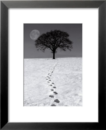 Winter Moon Framed Print Winter Moon Framed Print
