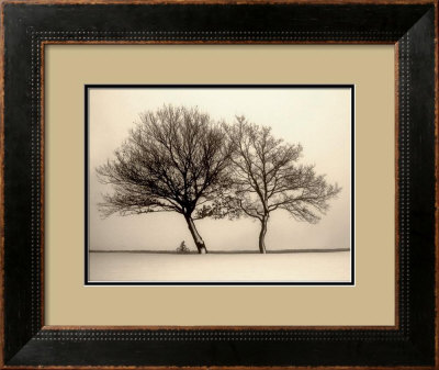 Foggy Evening Framed Print Foggy Evening Framed Print