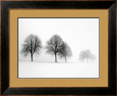 Winter Trees II Framed Print Winter Trees II Framed Print
